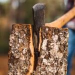 Upravitelj  šumarije  u  Perušiću ugušio  bunt  dijela  zaposlenika !